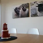 - Bolgen *